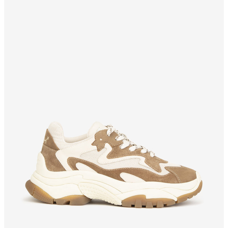 ASH SNEAKERS ADDICT06 SOFT NABUCK FANDANGO-TALK