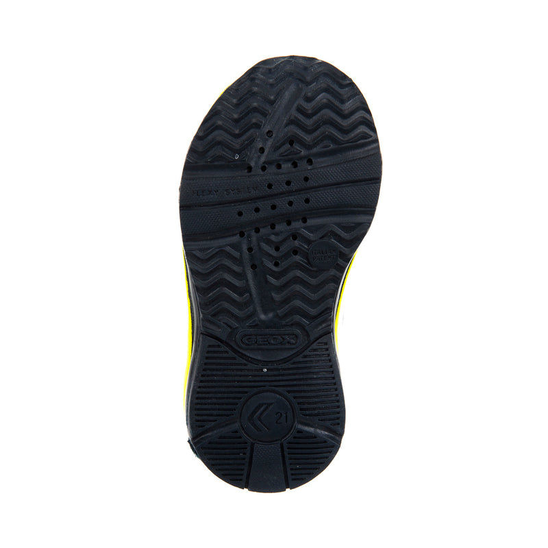 GEOX TODO BLU 4